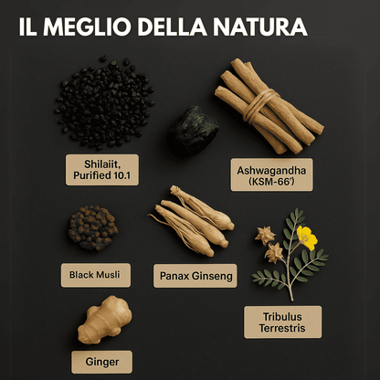 Gummies di Shilajit Puro dell’Himalaya – Aphroly®